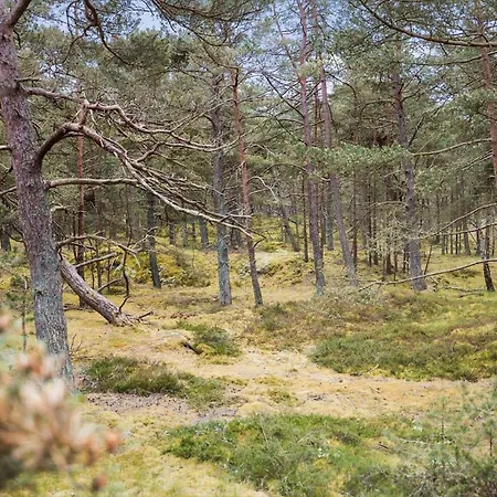 2714-nexo-jomfrustien-4 Hébergement de vacances *